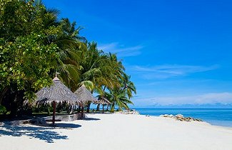 Sandy beach with thatched parasols, coconut palms and calm blue sea (placeholder, to recheck when the photo is replaced)